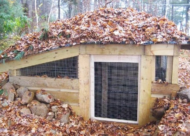 chicken coops, chicken coop designs, chicken coop ideas, building a chicken coop, diy chicken coop, backyard chicken coop, portable chicken coop, how to make a chicken coop, cheap chicken coop, small chicken coop, pallet chicken coop, urban chicken coop, a frame chicken coop