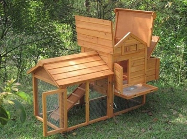 chicken coops, chicken coop designs, chicken coop ideas, building a chicken coop, diy chicken coop, backyard chicken coop, portable chicken coop, how to make a chicken coop, cheap chicken coop, small chicken coop, pallet chicken coop, urban chicken coop, a frame chicken coop