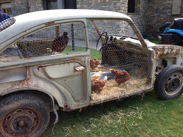 chicken coops, chicken coop designs, chicken coop ideas, building a chicken coop, diy chicken coop, backyard chicken coop, portable chicken coop, how to make a chicken coop, cheap chicken coop, small chicken coop, pallet chicken coop, urban chicken coop, a frame chicken coop