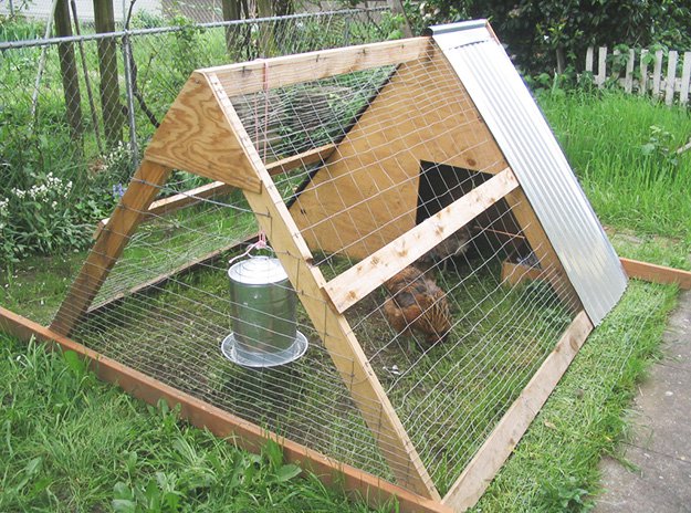 chicken coops, chicken coop designs, chicken coop ideas, building a chicken coop, diy chicken coop, backyard chicken coop, portable chicken coop, how to make a chicken coop, cheap chicken coop, small chicken coop, pallet chicken coop, urban chicken coop, a frame chicken coop