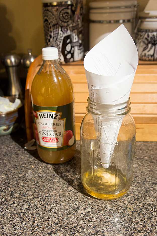 How-to-Get-Rid-of-Flies-Outdoors-Apple-Cider-Vinegar 1