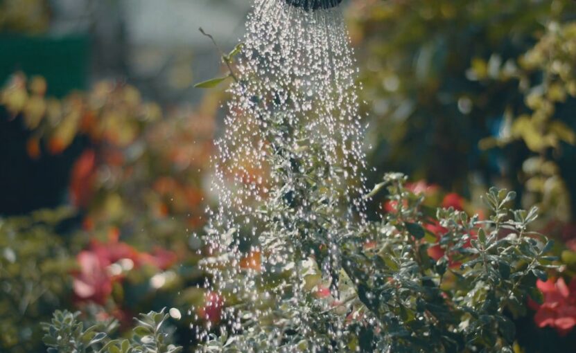 Benefits of harvesting rainwater