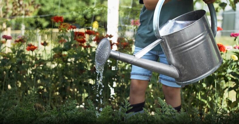 Using rainwater for garden watering